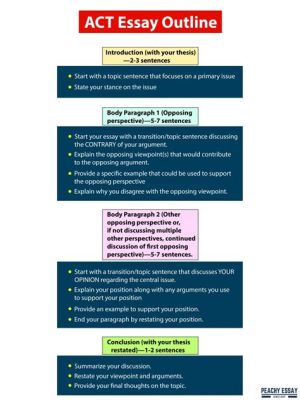 Is Act Paper or Digital: A Multilayered Discussion